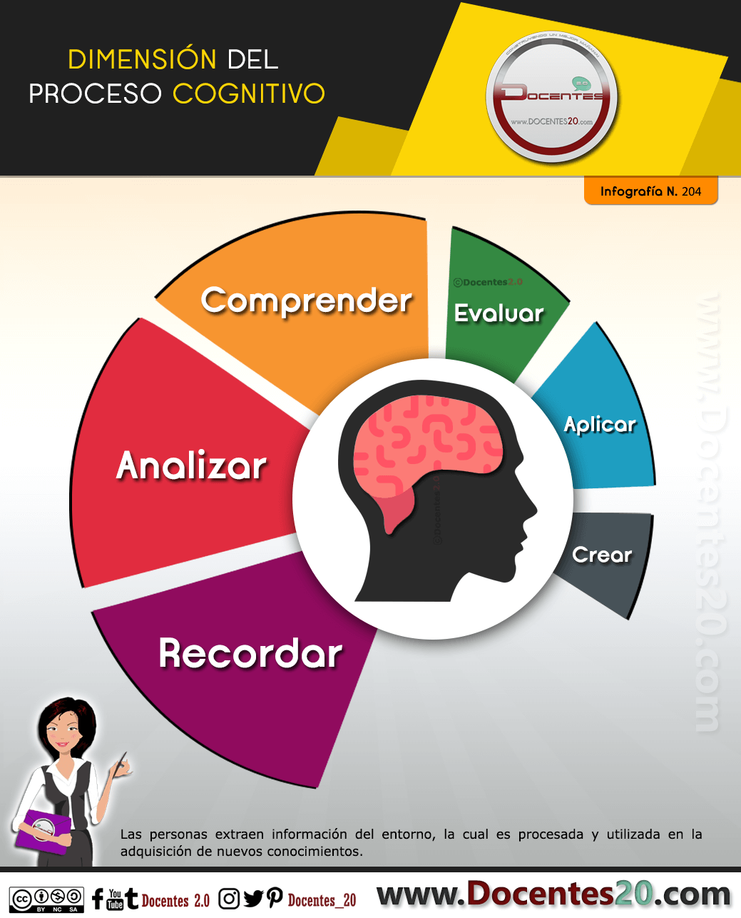 Dimensiones del proceso sognitivo