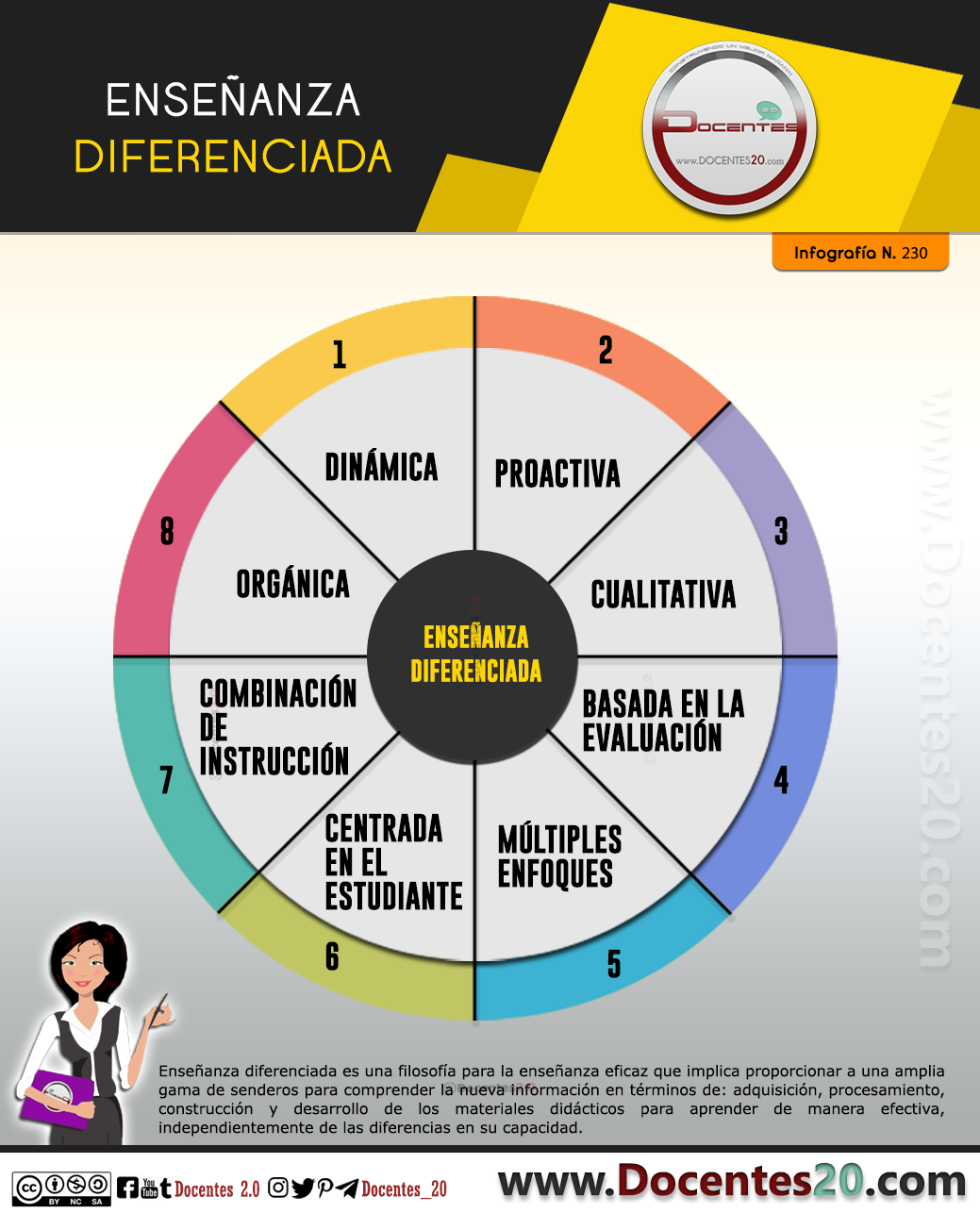 Infografía: Enseñanza Diferenciada 